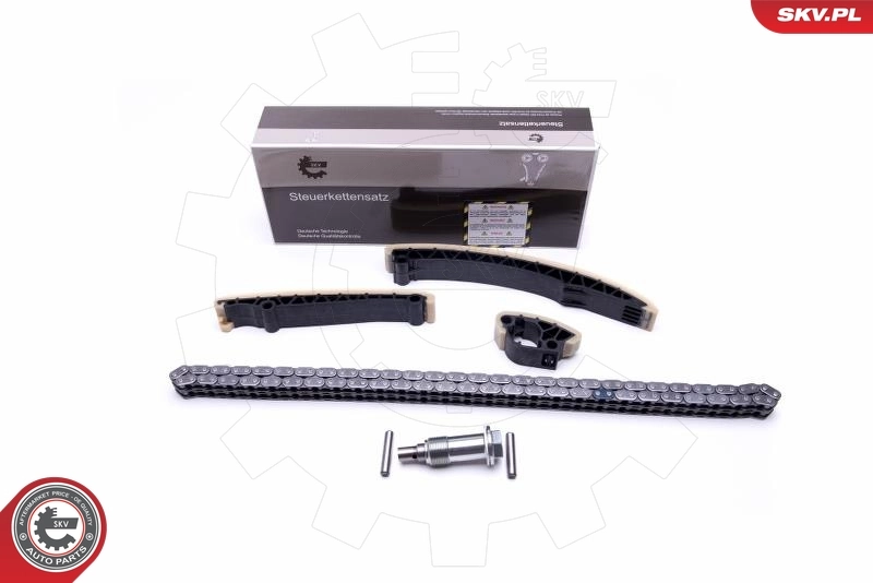 Timing Chain Kit